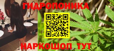 шишки Моздок