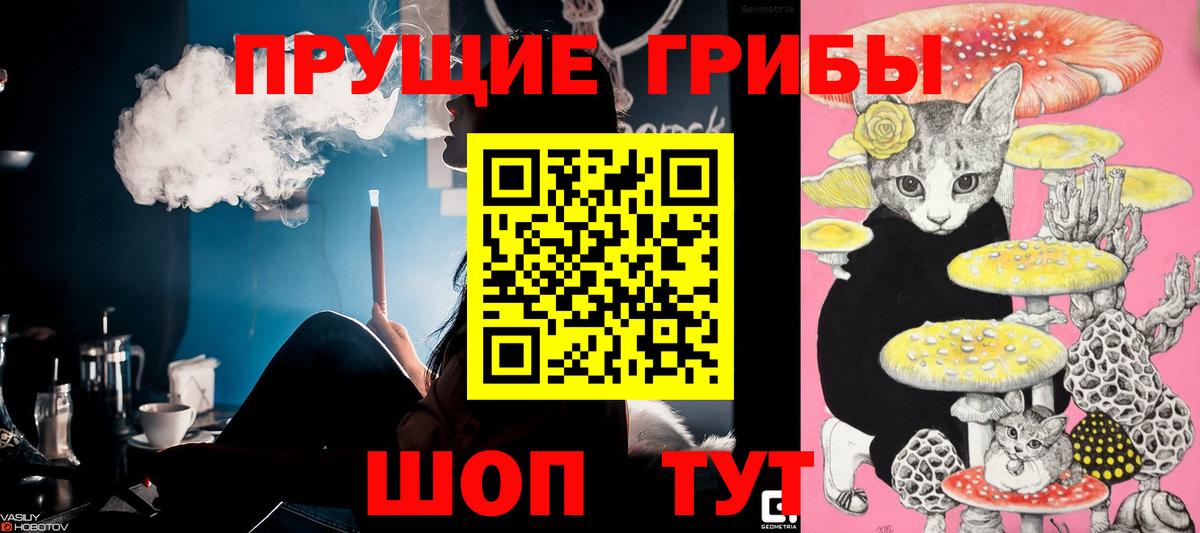 Кызыл  Галлюциногенные грибы MAGIC MUSHROOMS  Вход с VPN 